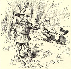 Teddy Bear Cartoon Teddy Bear Cartoon