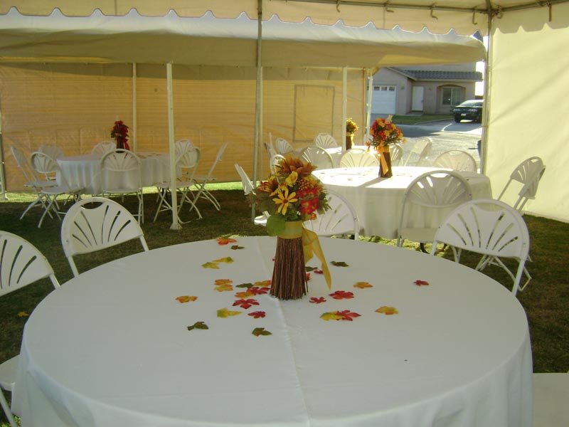 Pumpkin Baby Shower Decorations